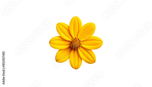 Wallpaper Mural Overhead shot reveals a vibrant, sun-yellow flower isolated on solid white background Png5 Torontodigital.ca