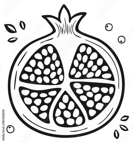 Hand drawn pomegranate fruit cross section vector illustration
