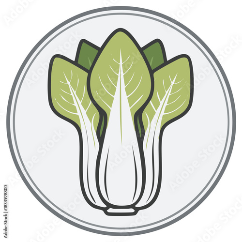 Bok Choy Vegetable Illustration with Round Frame