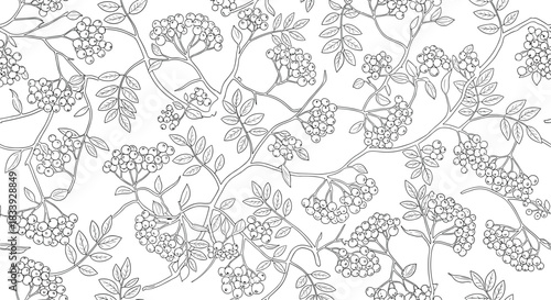 Seamless black and white background pattern of delicate rowanberry branches with leaves and berries in a detailed line art style.