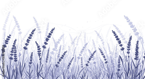 A serene and artistic illustration of a field of lavender flowers in calming purple and blue tones with a watercolor effect.