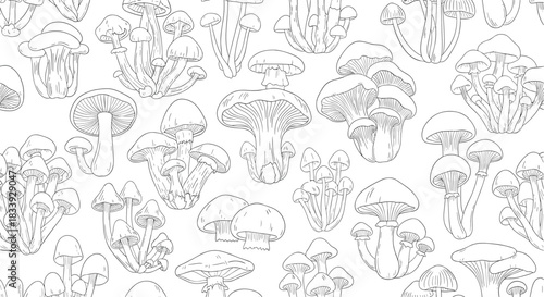 A seamless black and white background pattern filled with a variety of different forest mushrooms in a detailed line art style.