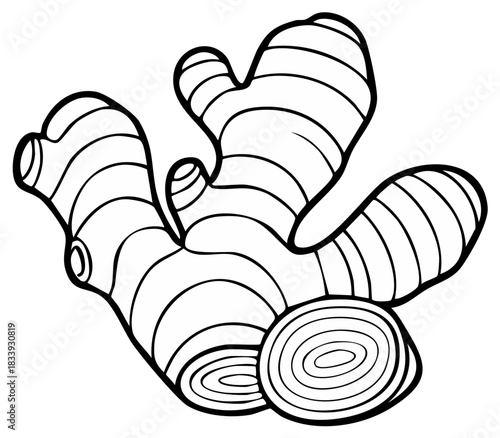 Outline drawing of a fresh ginger root with sliced pieces, a healthy cooking spice ingredient.