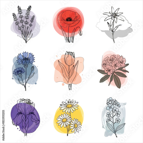 Watercolor sketch of nine different flower types