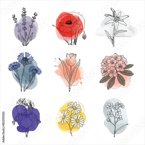 Nine watercolor sketch style flower illustrations