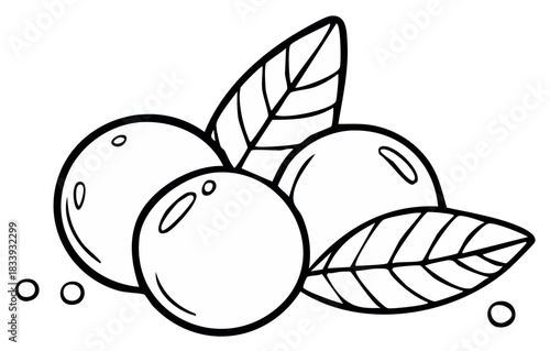 Simple black and white line art of a berry cluster with leaves for a coloring book
