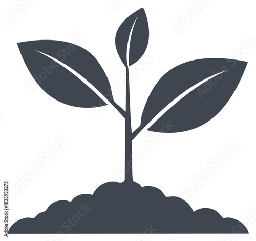 Fresh Sprout Emerging from Soil Symbolic of Growth and Development