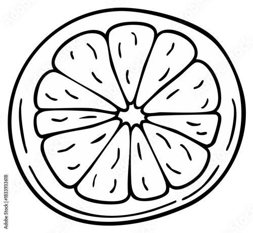 Simple Black and White Line Art Illustration of a Citrus Fruit Slice