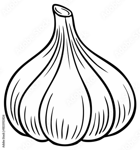 Simple black and white line art illustration of a whole garlic bulb vegetable