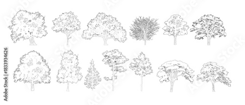 Minimalistic cad tree line drawing set ,  Outline tree set, side view graphic elements for landscape design and architectural drawing, isolated - vector illustration