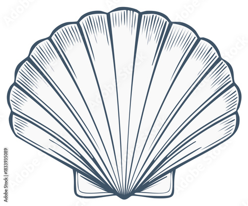 Stylized illustration of a scallop seashell in outline art, evoking beach and ocean themes.
