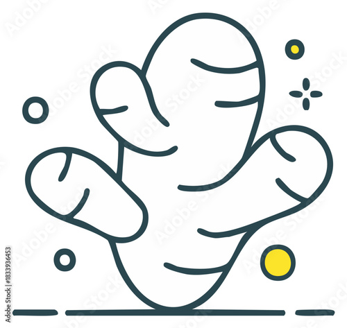 Ginger root illustration in simple line art style with decorative elements