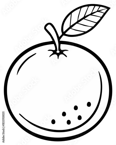 Stylized Citrus Fruit Illustration Black and White Line Art with Leaf Detail Outline