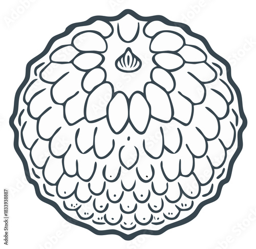 Black outline drawing of a round custard apple fruit illustration