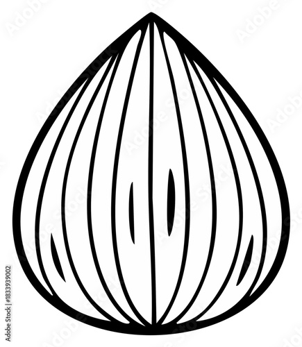 Stylized minimalist black and white line art of an abstract segmented almond or teardrop shape.