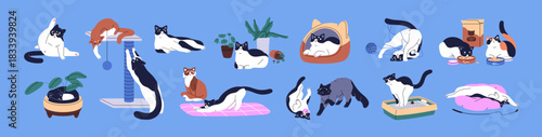 Set of cute naughty cats. Funny kittens play together. Adorable kitties have fun, sleep, stretching and scratching. Domestic animals life. Amusing behavior of pets. Flat isolated vector illustrations