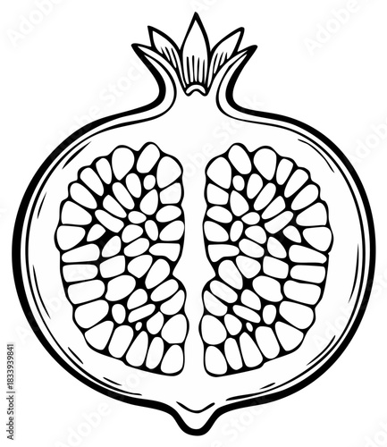 Pomegranate Half Cut Showing Seeds, Hand-Drawn Line Art Style, Black and White, Isolated