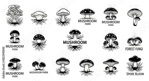 Collection of vintage mushroom illustrations for logo designs suitable for nature related topics