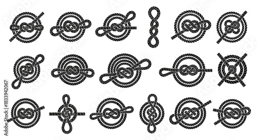 Detailed vector illustration showcasing different knot types for nautical or decorative applications