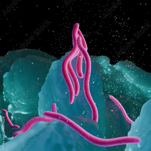 3D Illustration of Borrelia burgdorferi Bacteria – Lyme Disease Spirochete in Microscopic Tissue Environment