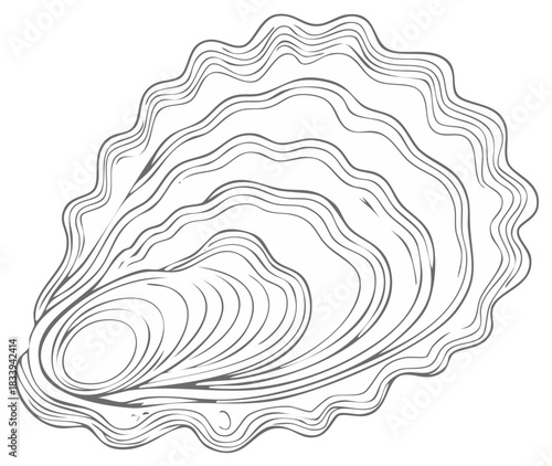 Detailed outline illustration of a single closed oyster shell with wavy edges and natural texture lines