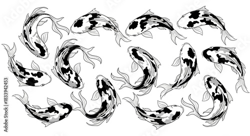 Elegant Koi Fish Pattern: A Serene Aquatic Design with Graceful Movement Depiction