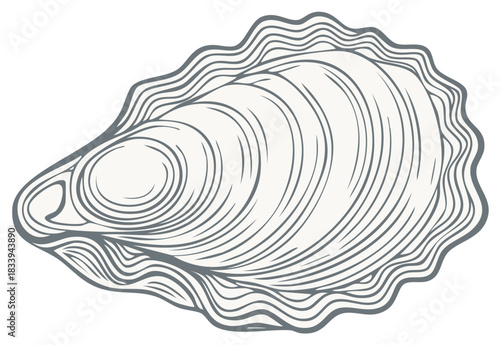 Modern Graphic Oyster Shell Illustration with Stylized Contours and Wavy Edges