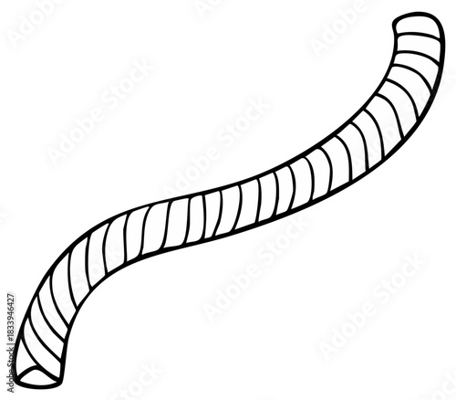 Curved segmented worm or caterpillar line art illustration for coloring book page