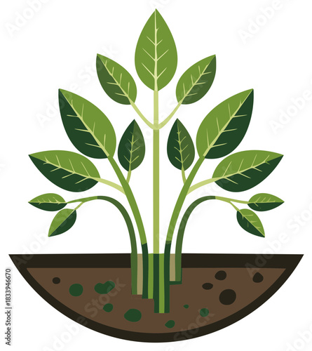 Stylized green plant with leaves growing in a cross section of soil vector illustration