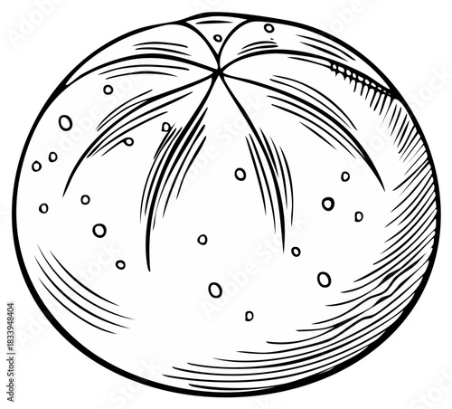 Traditional Hand Drawn Bread Roll with Star Pattern and Seeds Line Art Illustration