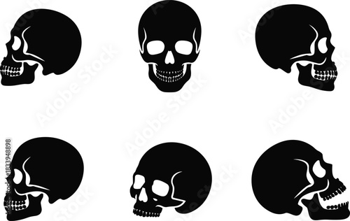 Human skull silhouette set in multiple angles, medical anatomy illustration for halloween design, tattoo art, education, and stock vector use
