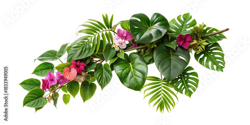 Tropical Floral Branch with Green Leaves and Flowers Isolated on Transparent Background