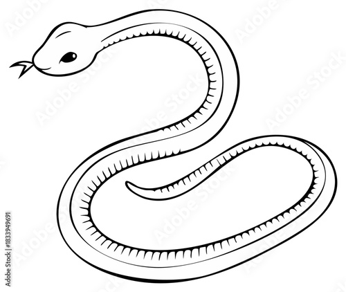 Stylized Outline Snake Illustration