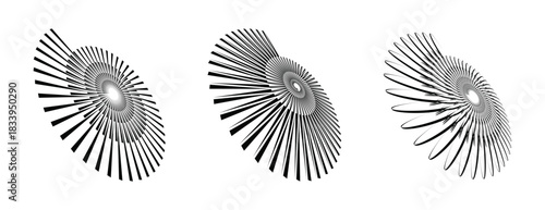 Geometric rotating spokes pattern, an intricate spiral logo inspired by the nautilus shell, vector illustration.
