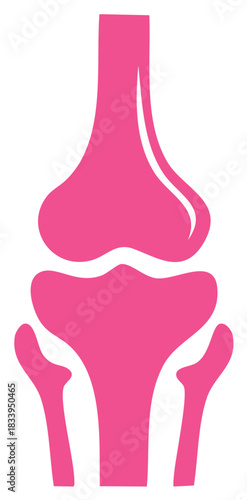 Pink knee joint anatomy illustration showing bones and structure design
