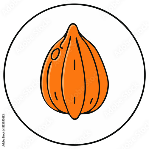 Cartoon style illustration of an orange fruit in a circle.