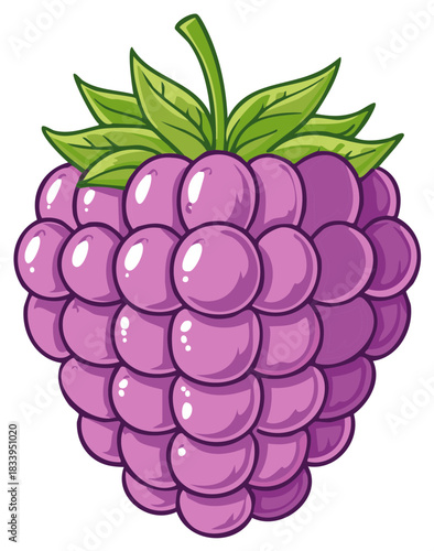 Cartoon illustration of a ripe berry fruit