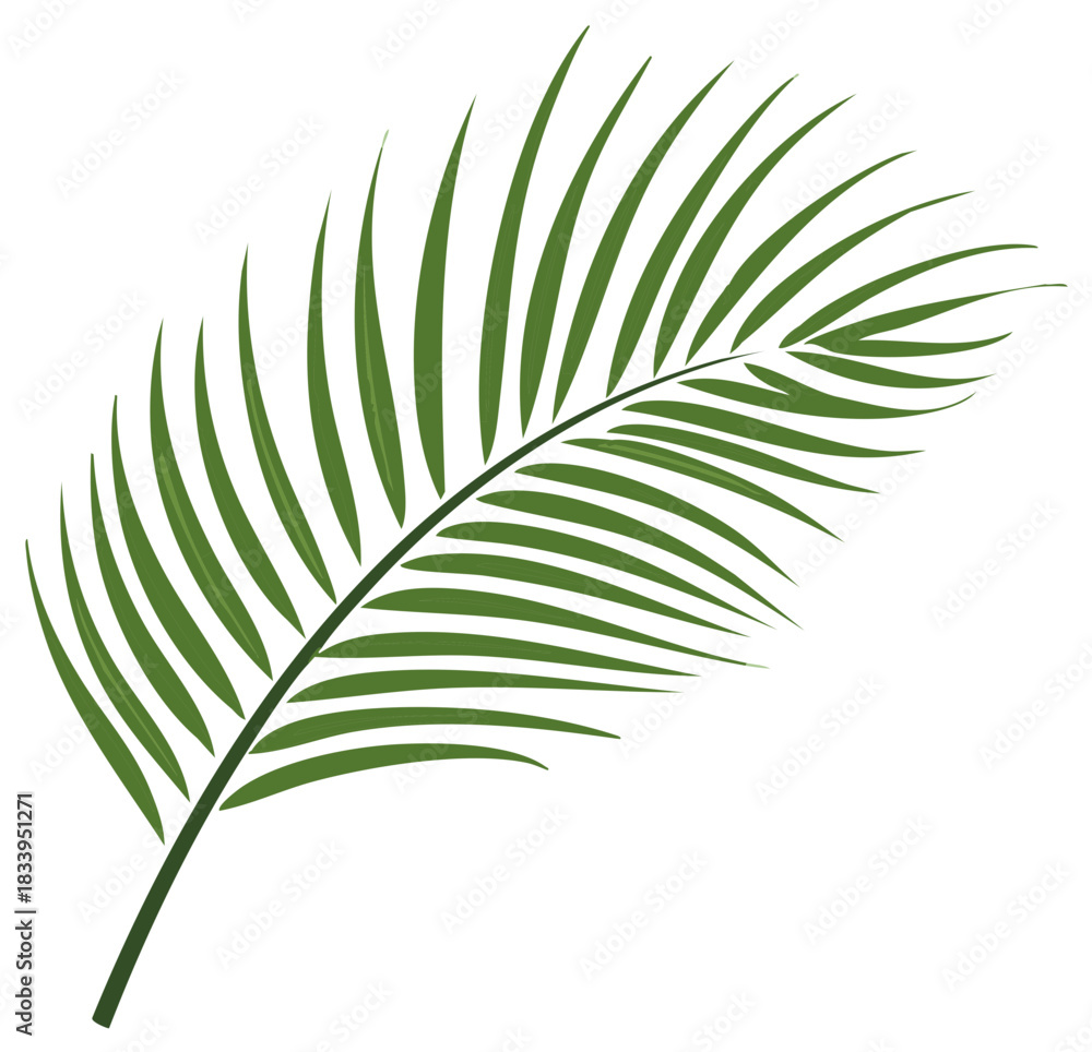 Fototapeta premium Stylized tropical palm leaf vector illustration for summer vacation and exotic jungle themes