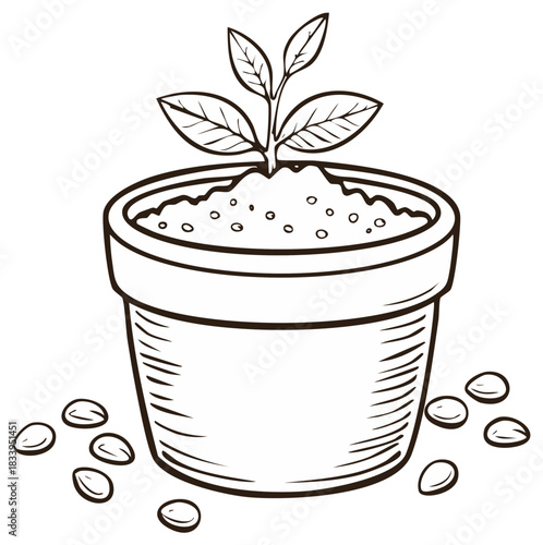 Young plant seedling sprouting in a garden pot with fertile soil and scattered seeds outline