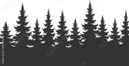 Black forest silhouette on a white background, evergreen trees