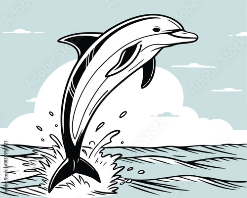 Dolphin jumping from water