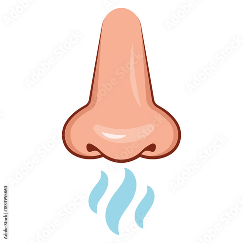 Front of nose who smell in flat design on white background