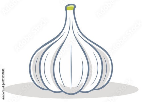 Simple cartoon illustration of a garlic bulb in white and gray color scheme