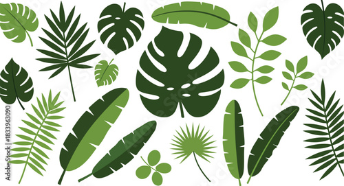 Collection of various green tropical jungle plant leaves and foliage in a flat design style illustration