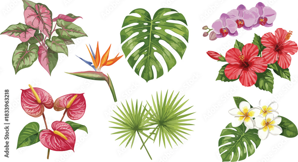Obraz premium Collection of vibrant tropical flowers and lush green foliage arranged in a visually appealing botanical illustration on a white background