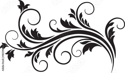 Elegant black swirling floral vine flourish design element with leaves and curls on a white background