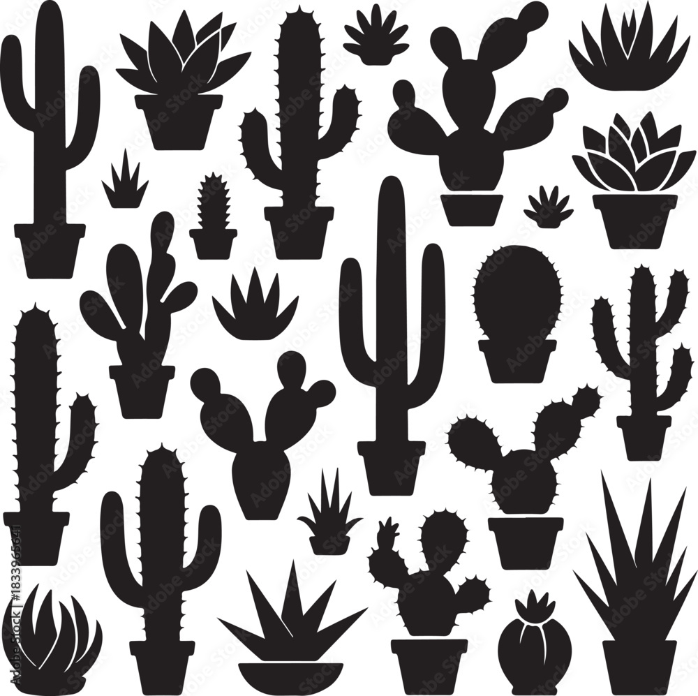 Fototapeta premium Several silhouette cactus and succulents are grouped together against a white background with transparent background