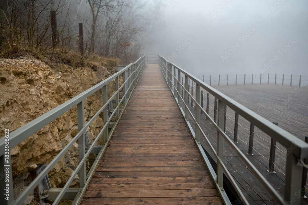 Fototapeta premium Foggy Boardwalk in Misty Landscape