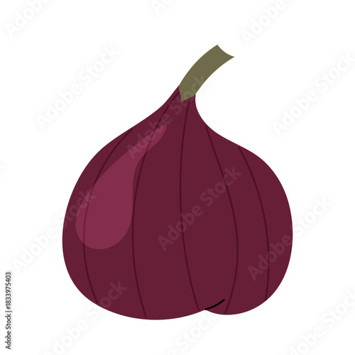 Fig ripe fruit on white background. Whole fresh fig fruit. Mediterranean food, cooking ingredient. Exotic fig icon.