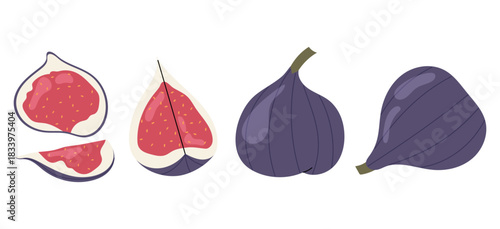 Set whole and halved fig illustration. Juicy fruit on white background. Mediterranean food. 